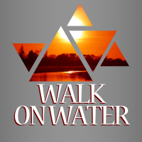 Walk On Water - Instrumental W/ Backing Vocals cover